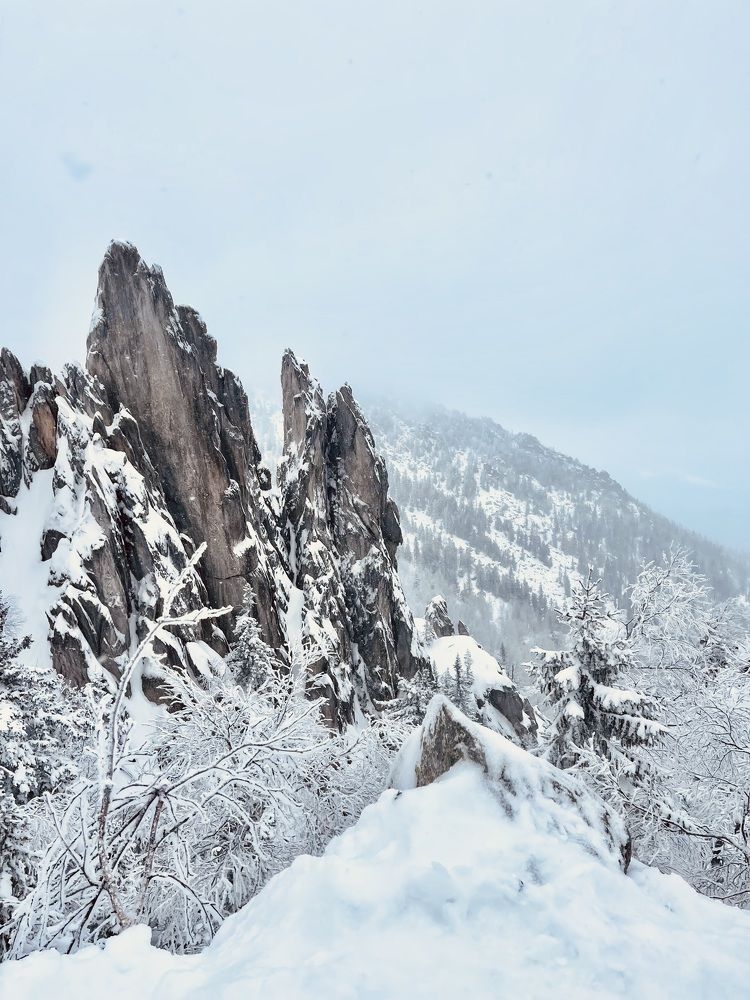 Photograph by Танечка