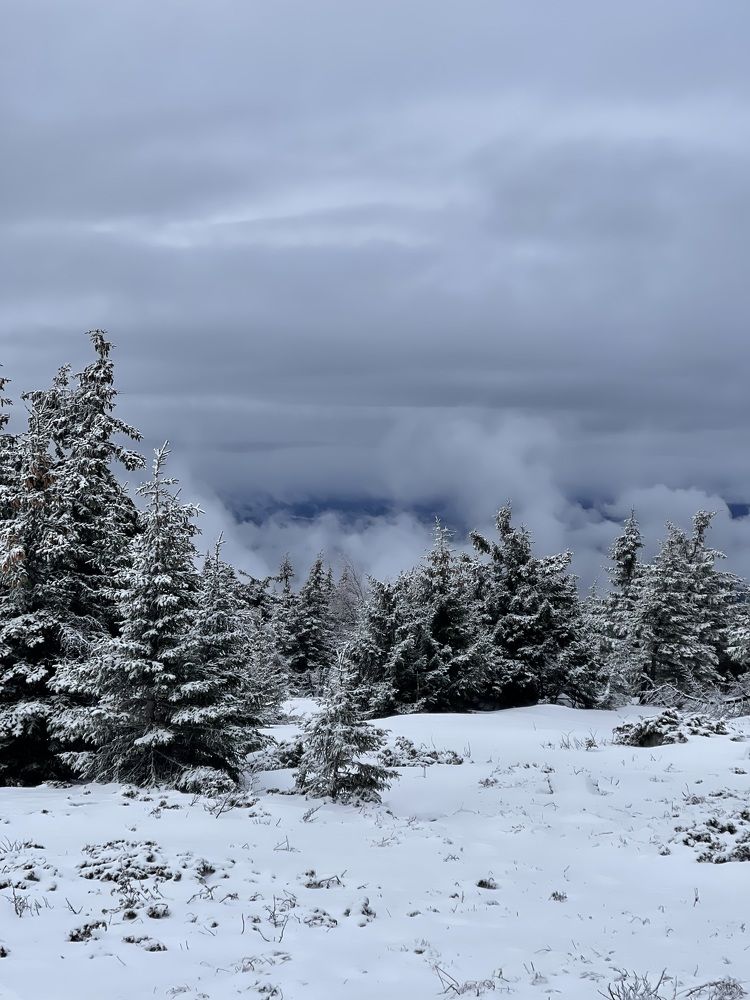 Photograph by Танечка