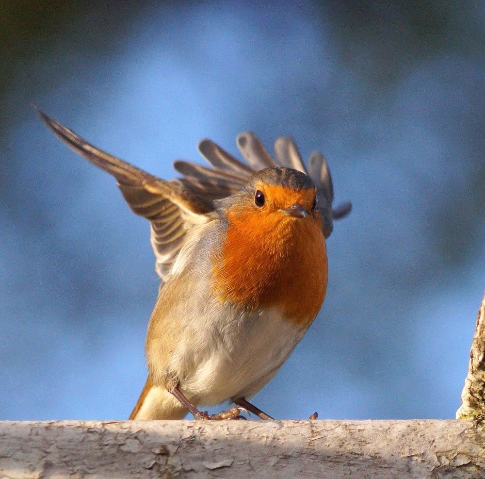 Photograph by Наталья Степаненко