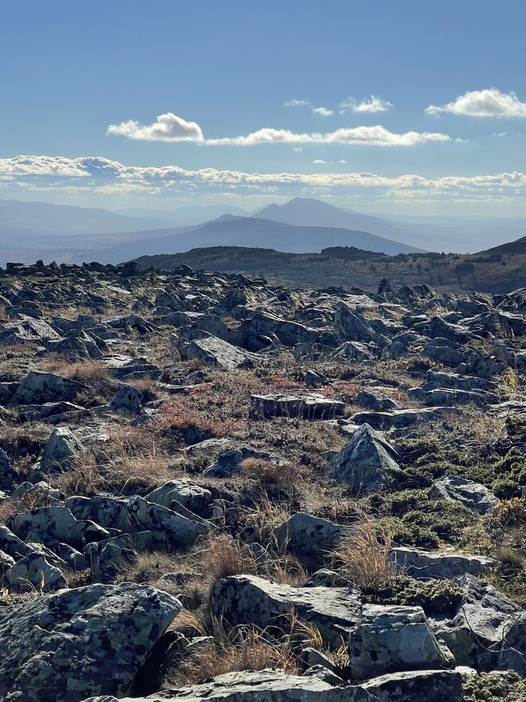 Photograph by Танечка Подгорбунских