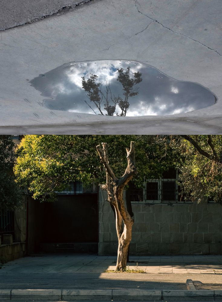 Фотография автора Javid Hashimov