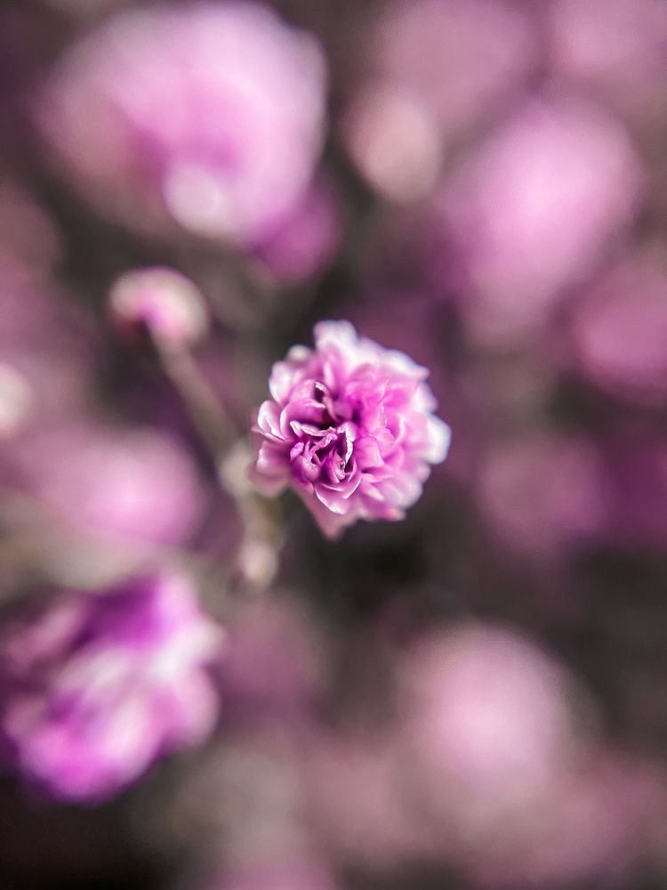 Photograph by Екатерина Васильева