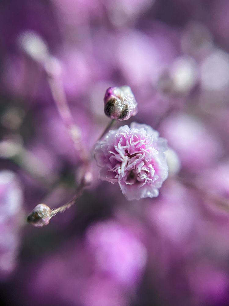 Photograph by Екатерина Васильева