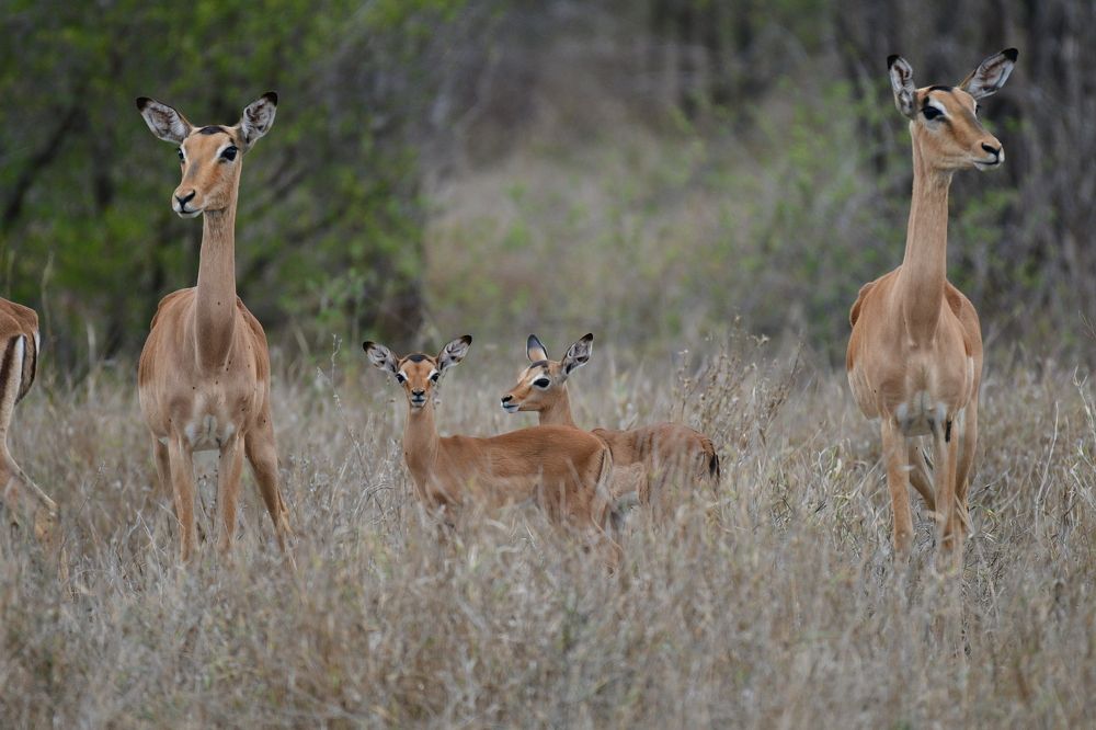 Photograph by Michelle Storm