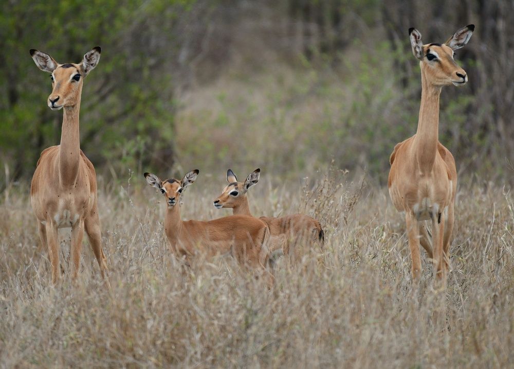 Photograph by Michelle Storm