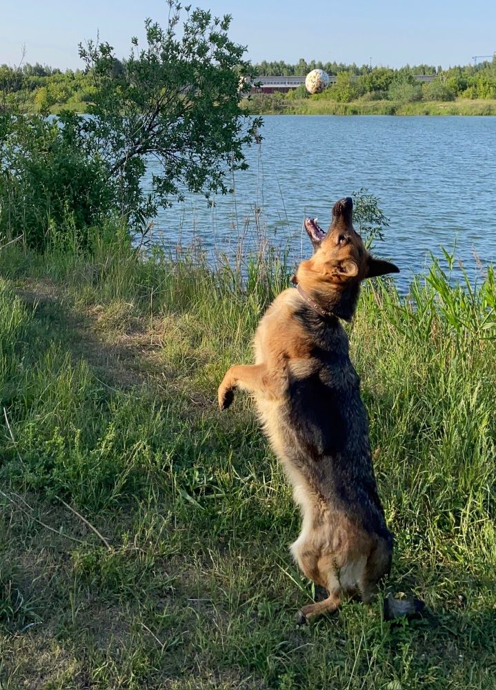 Фотография автора Галина Шиманцова