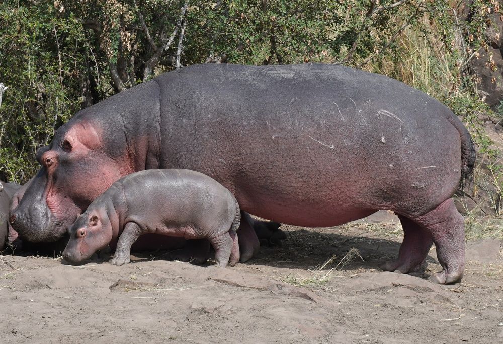 Photograph by Michelle Storm