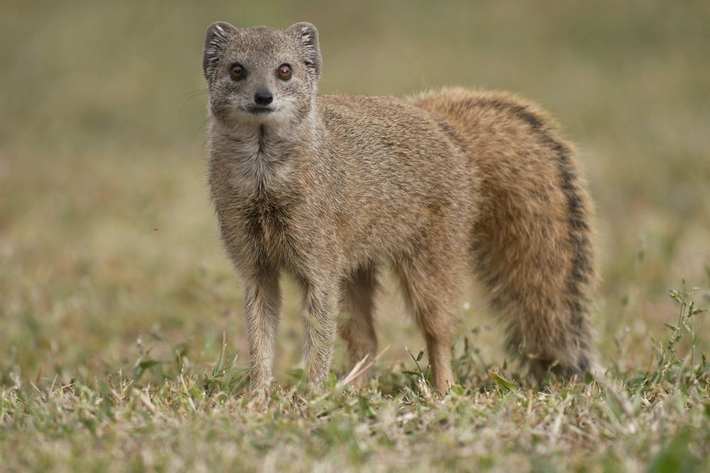 Photograph by Michelle Storm