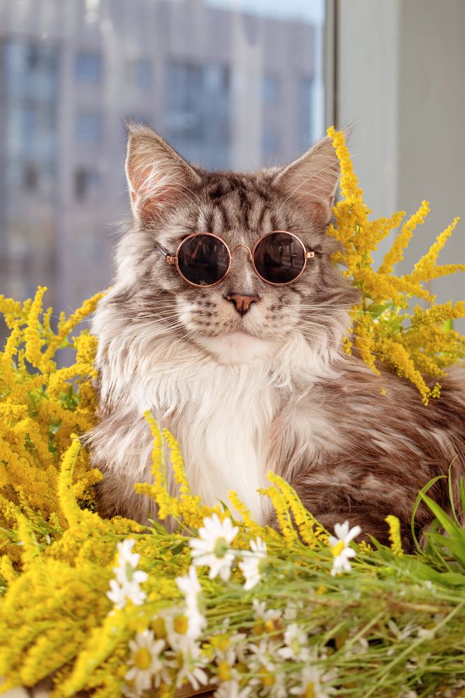 Фотография автора Александра Наливаева