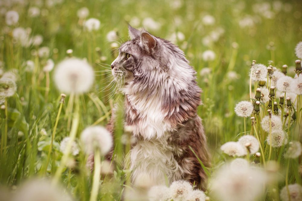 Фотография автора Александра Наливаева
