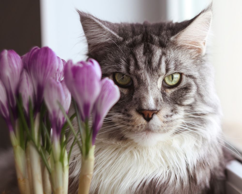 Фотография автора Александра Наливаева