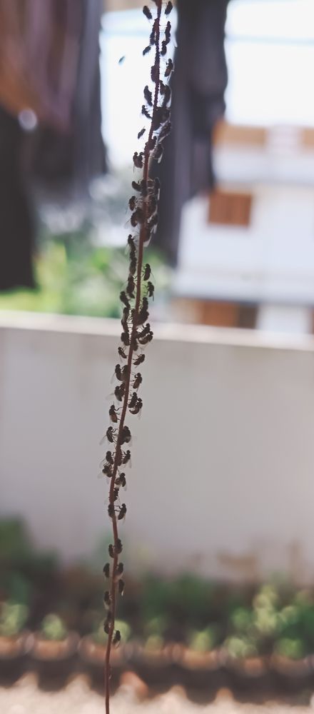 Photo #9866603