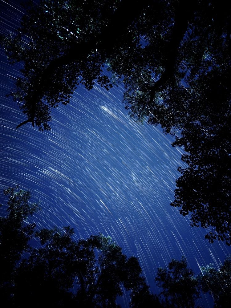 Photograph by Deependra Singh Rajput