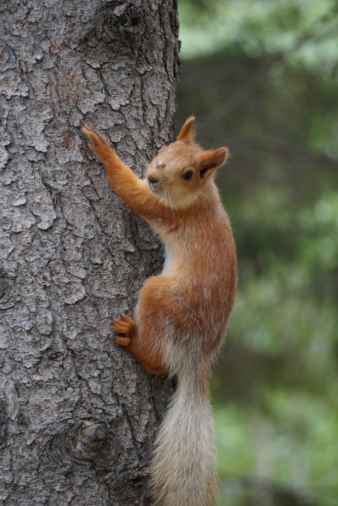 Photograph by Galina Belinskya