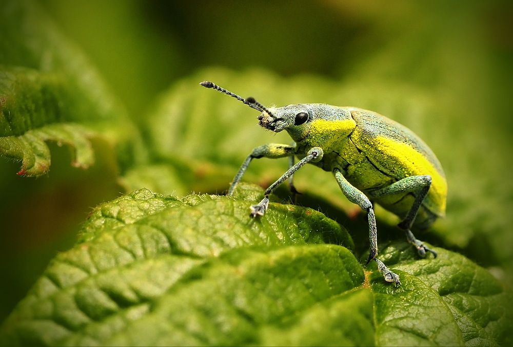 Photograph by Борис Риганов