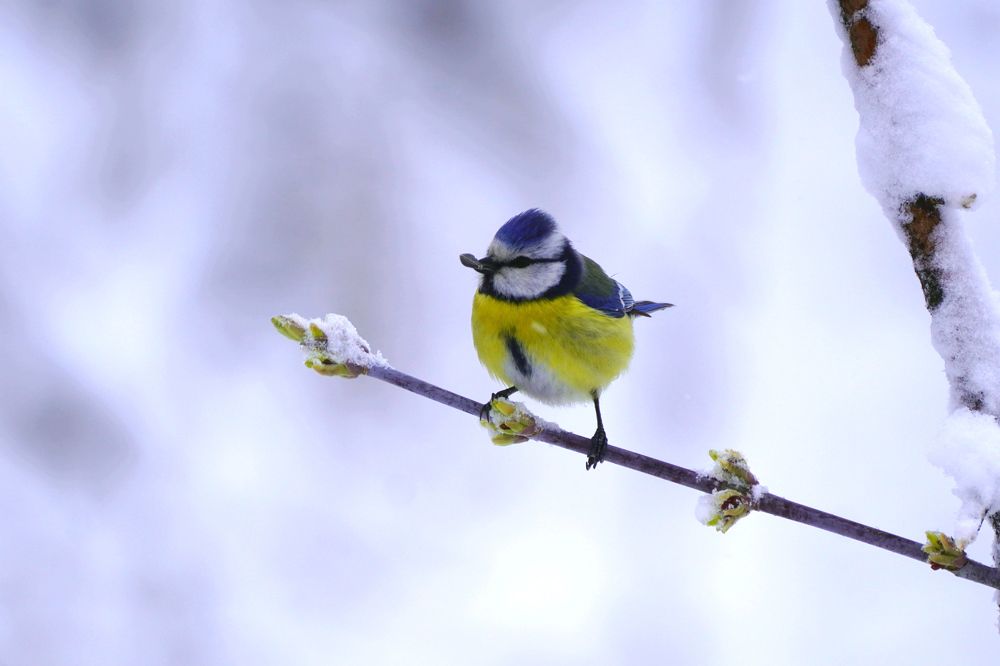 Фотография автора Валерия Шевченко