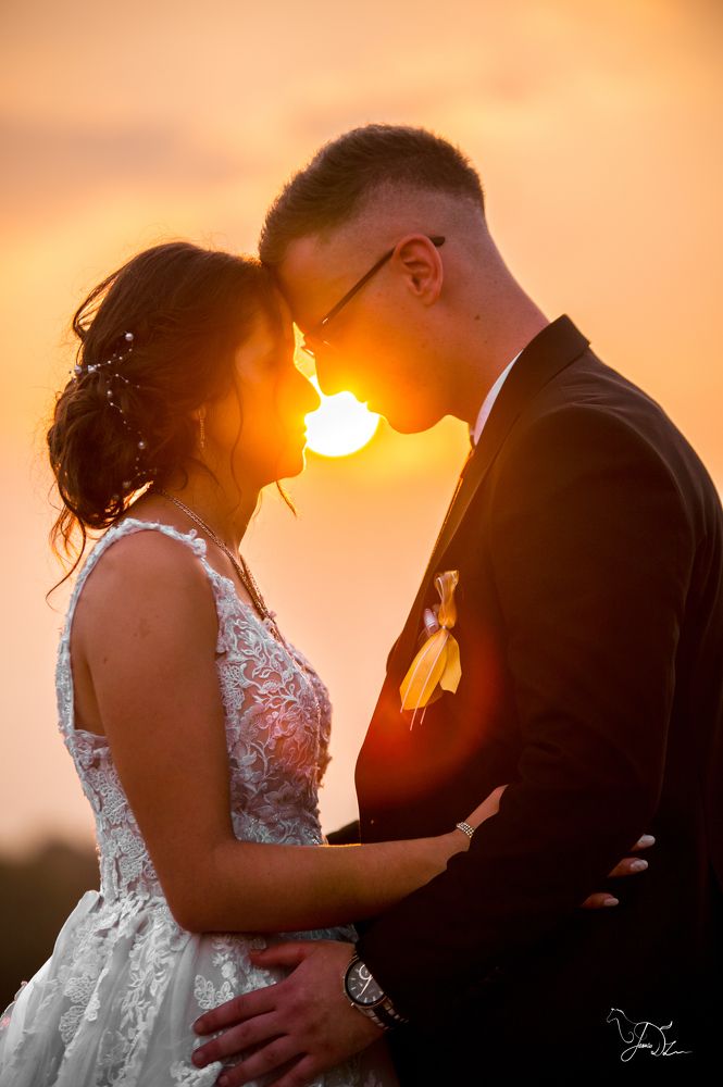 Photograph by Jasmin Džebo