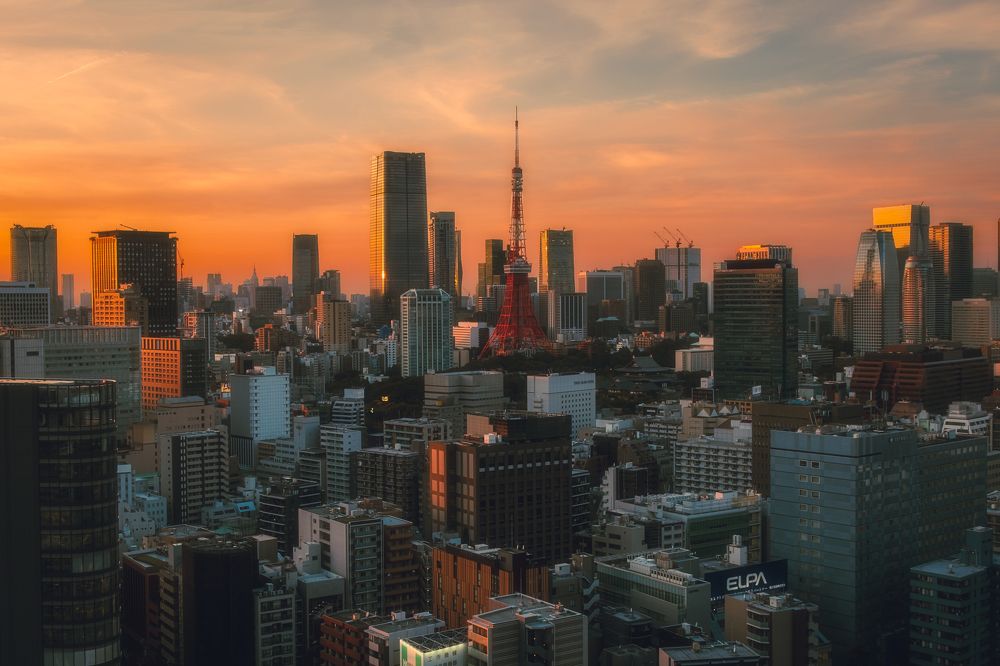 Photograph by Pedro Cunha