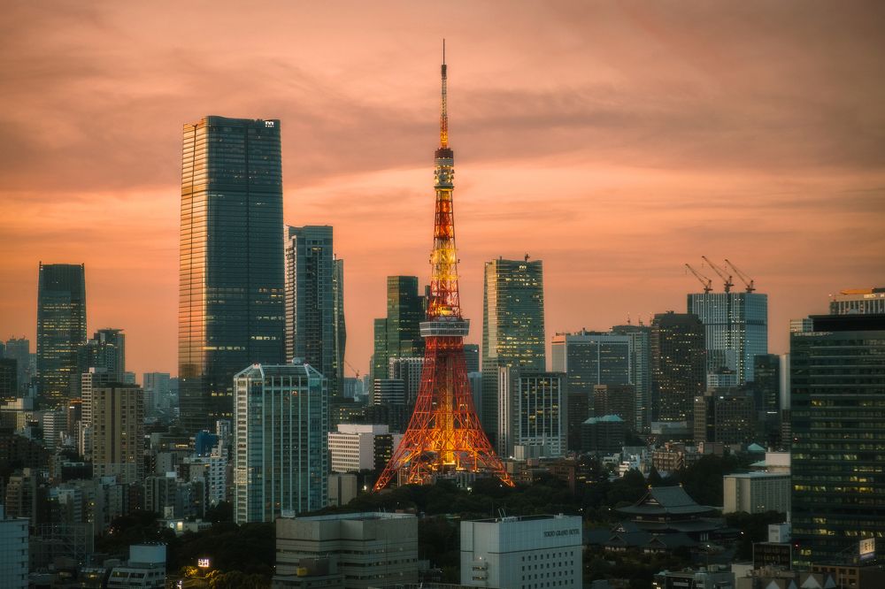 Photograph by Pedro Cunha