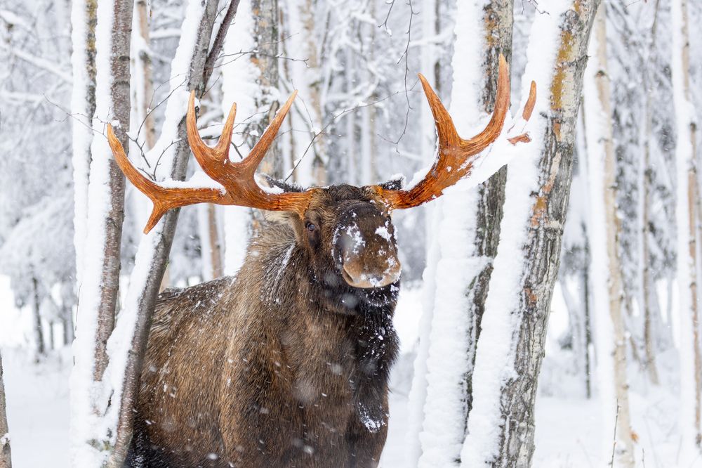 Photograph by Jared Solberg