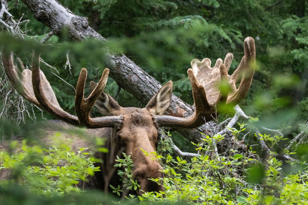 Photograph by Jared Solberg