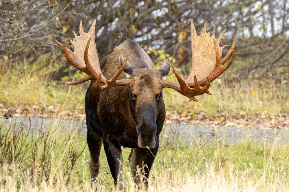 Photograph by Jared Solberg