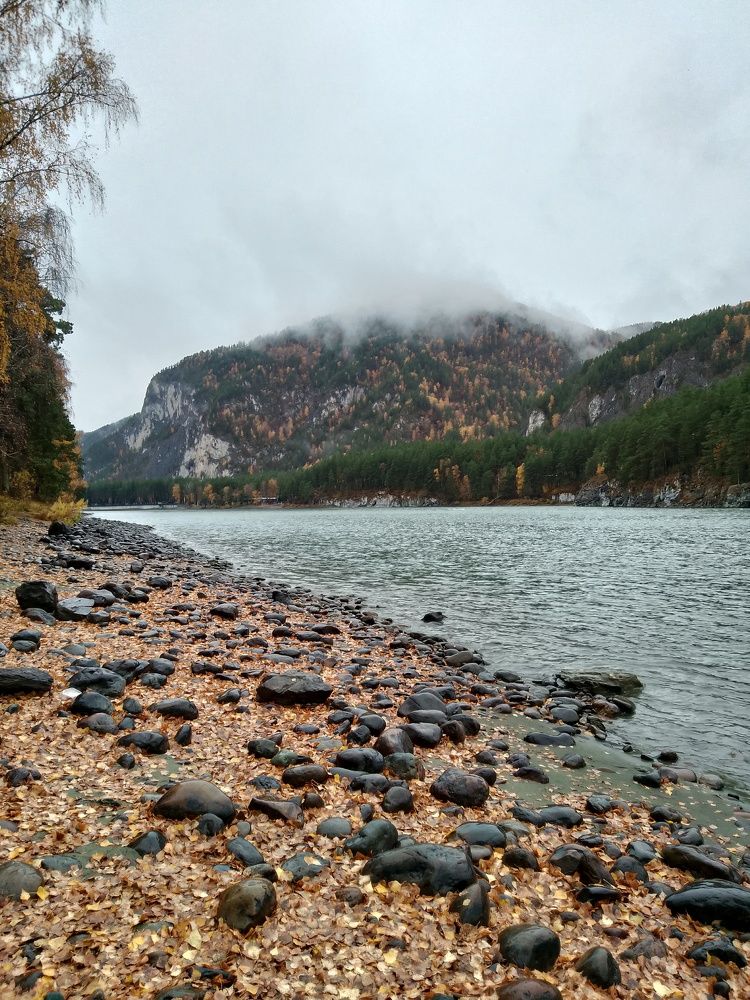 Photograph by Наталья БАЛАБАЕВА