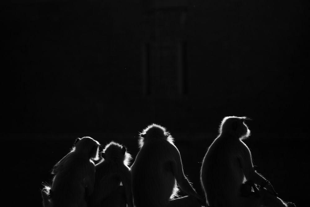 Photograph by vidit singhvi