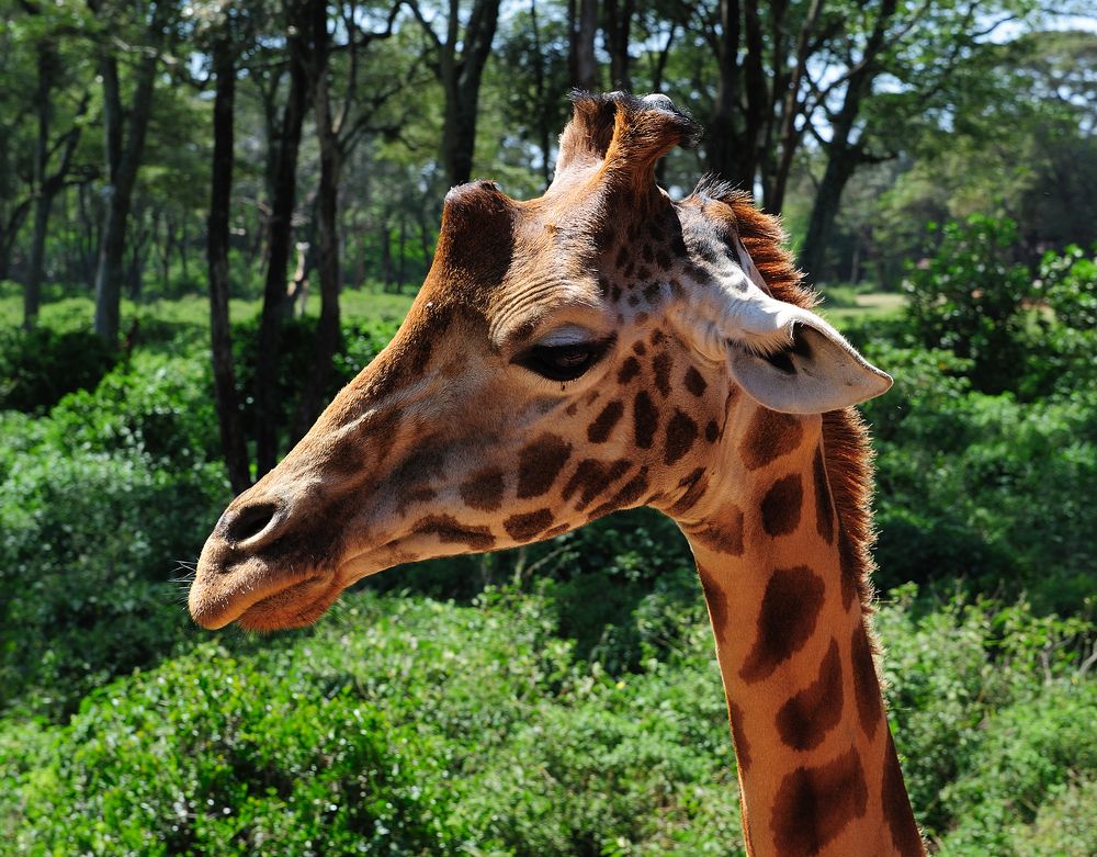 Photograph by Сергей Сережников