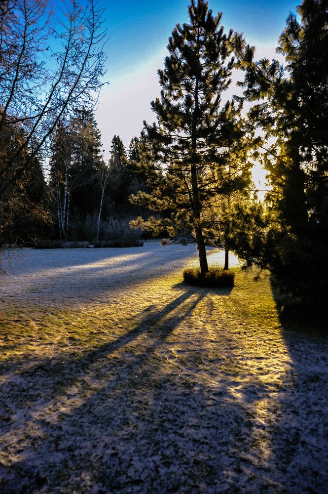 Фотография автора Виталий Дузь