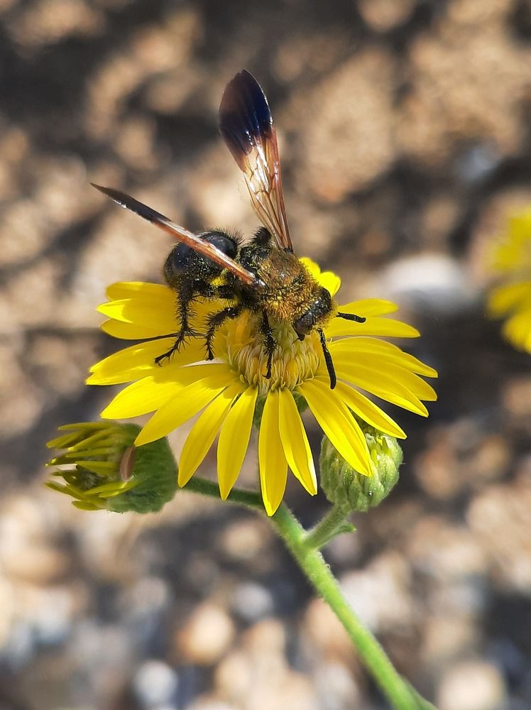 Photograph by virgilija motejunaite