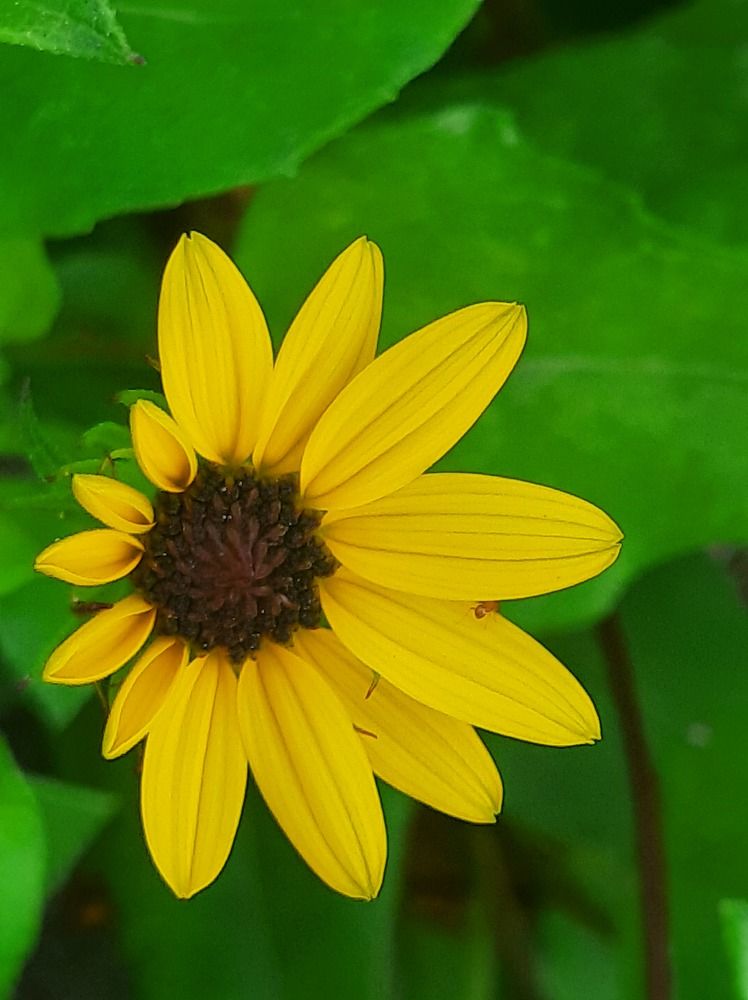 Photograph by virgilija motejunaite