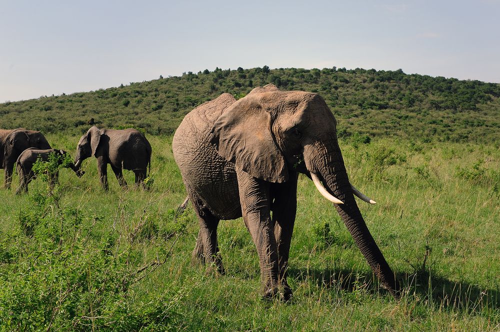 Photograph by Сергей Сережников