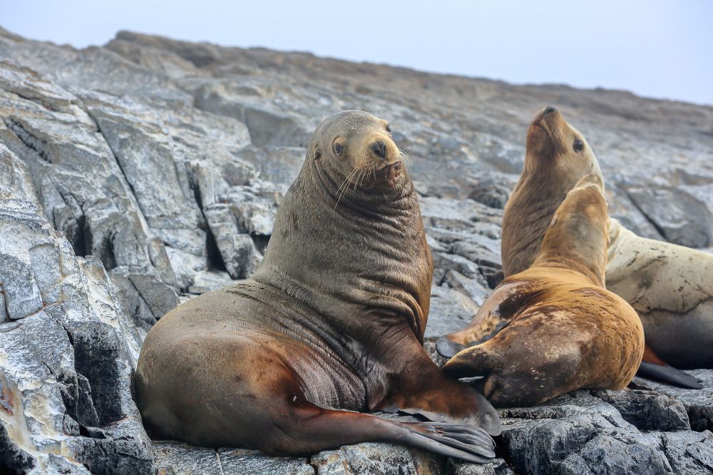 Photograph by Ольга Yarovenko