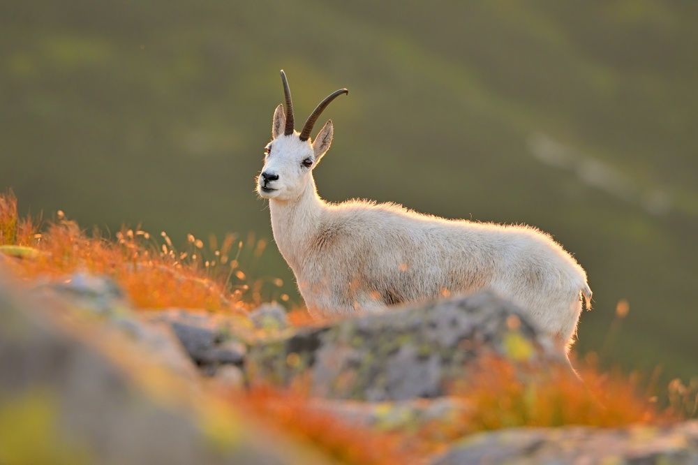 Photograph by Lubomir Novak