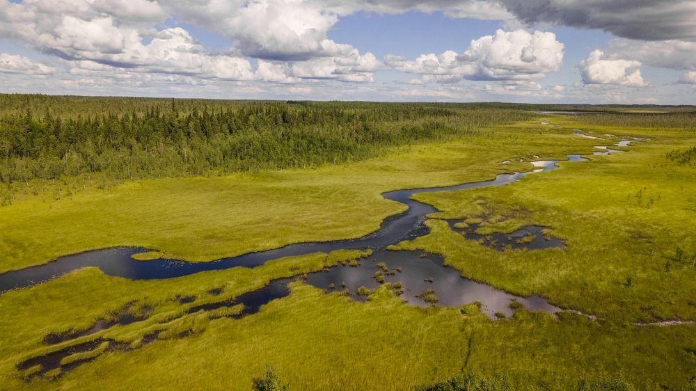 Photograph by Анатолий Стребелев