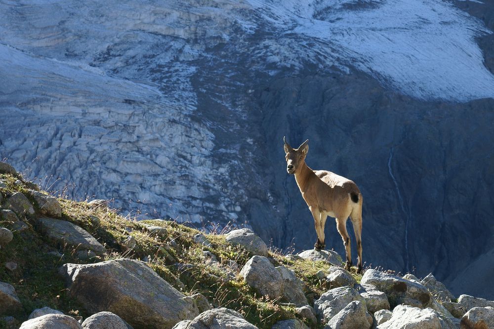 Photograph by Сергей Сережников