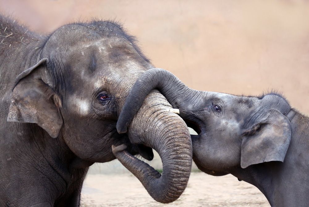 Photograph by Бибичков Михаил