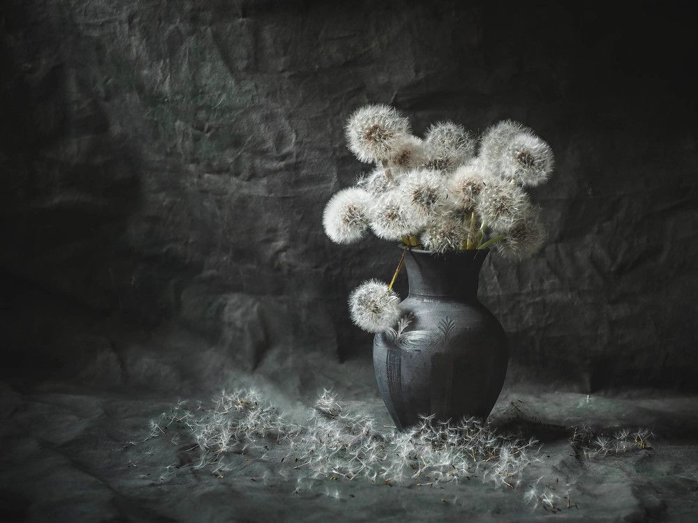 Photograph by Květa Trčková