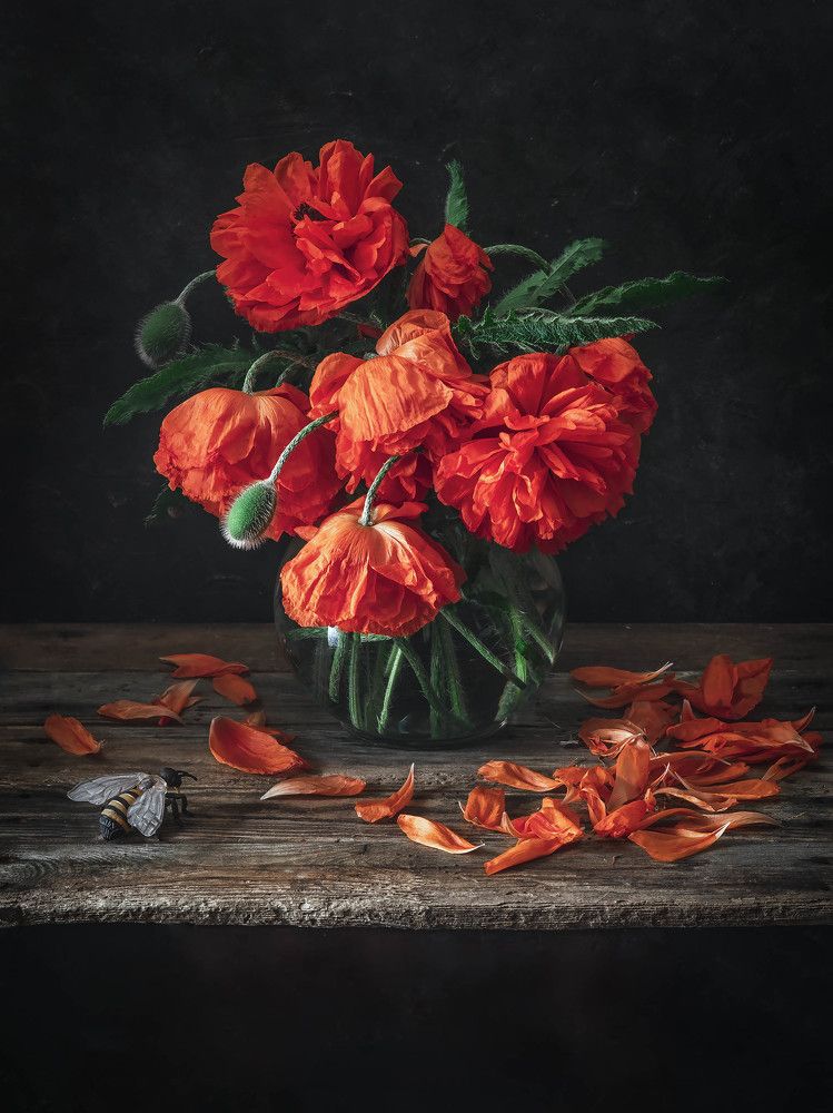 Photograph by Květa Trčková