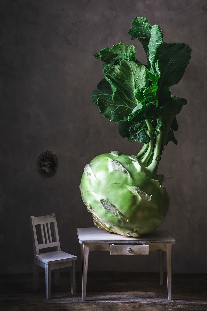 Photograph by Květa Trčková