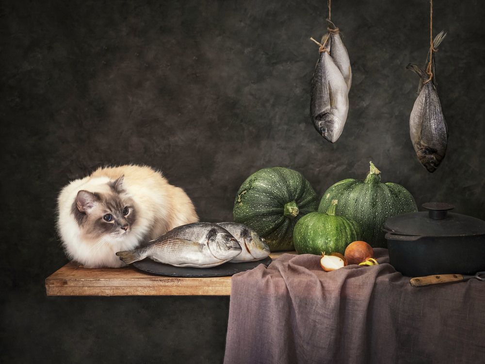 Photograph by Květa Trčková