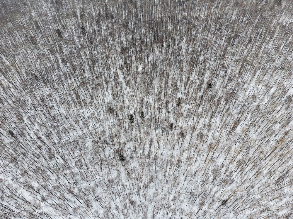 Фотография автора Мартыненко Дмитрий