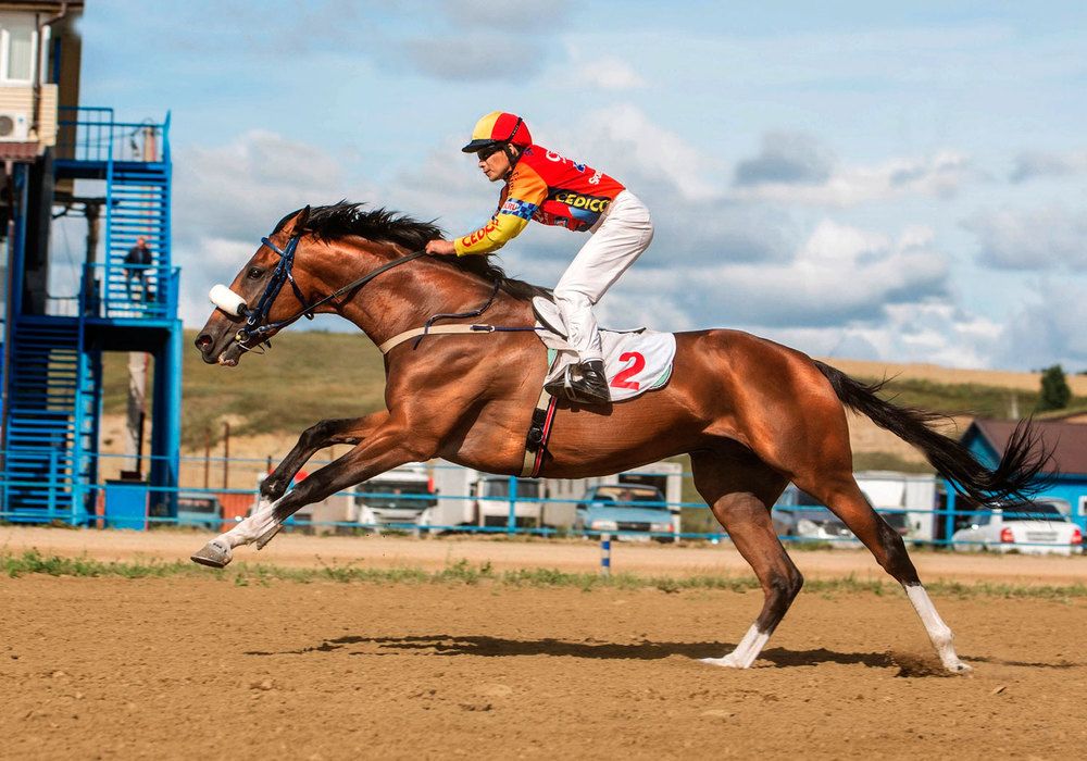 Photograph by Любовь Похабова