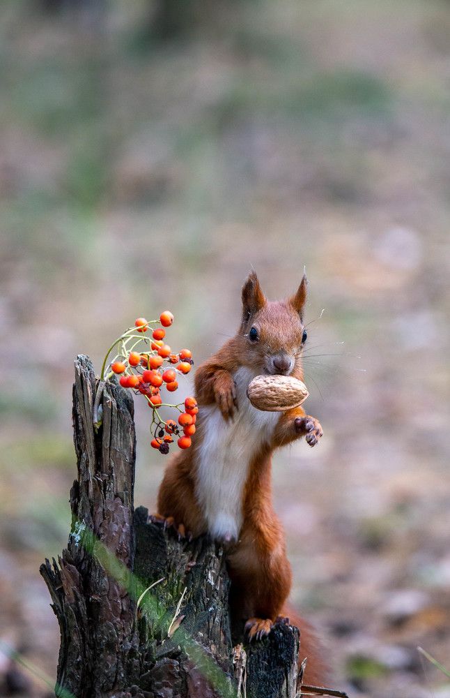 Photograph by Евгения Бочарова