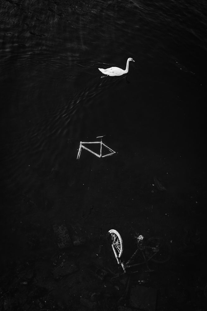 Photograph by Andrii BULAVKA