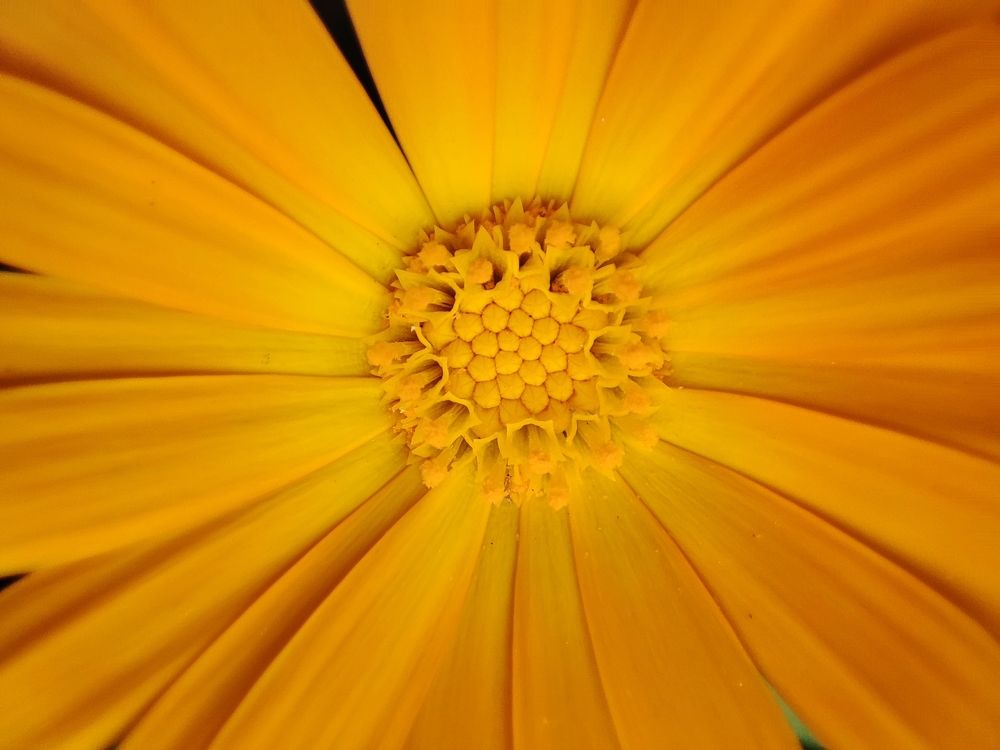 Photograph by Olga Ademson