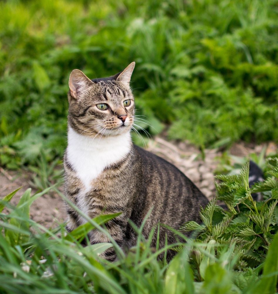 Фотография автора Альбина Хвастунова
