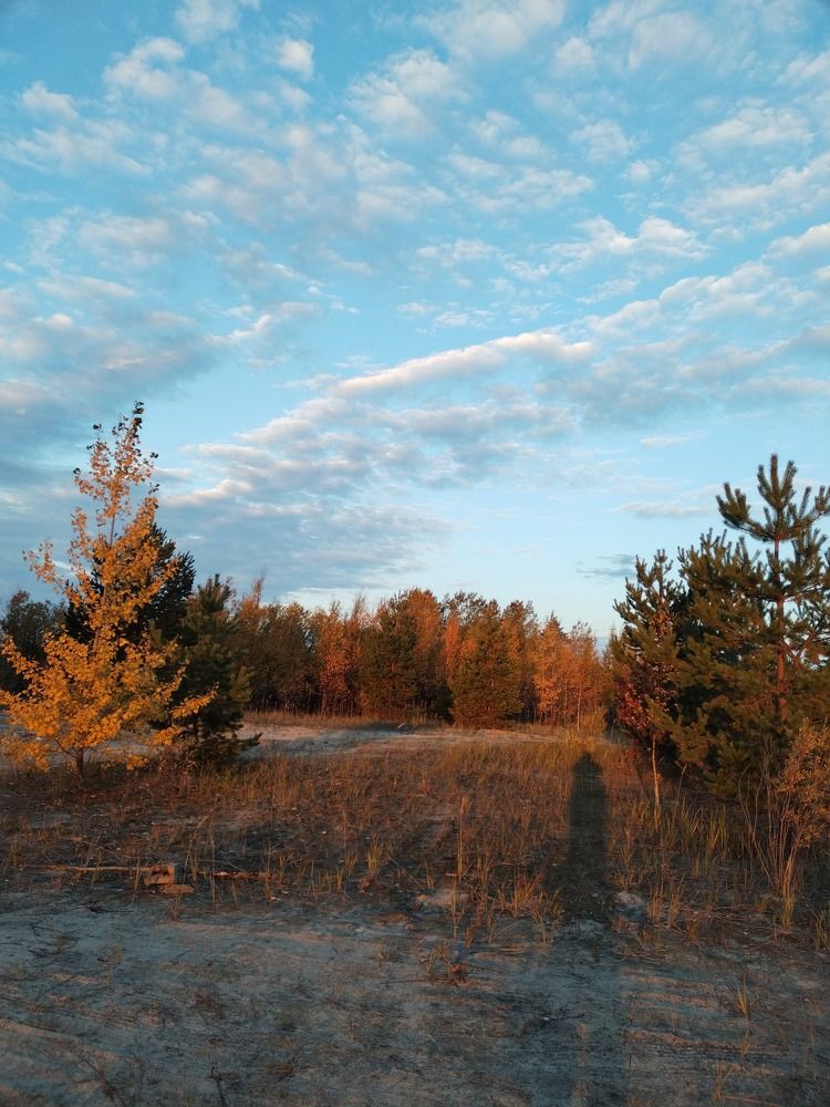 Photograph by Ольга