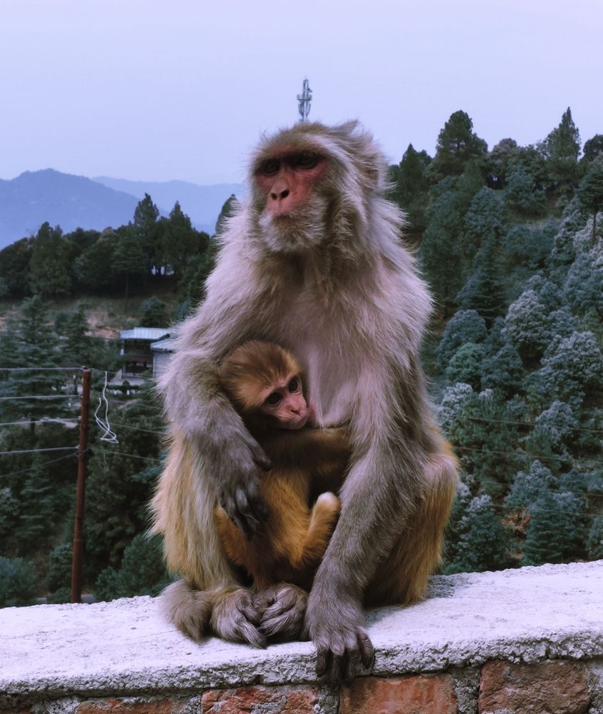 Photograph by Ritu Dinkar